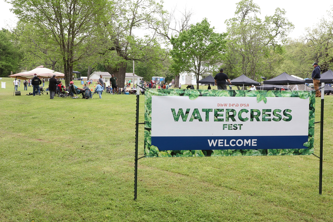 Cherokee culture, community celebrated at third annual Watercress Fest