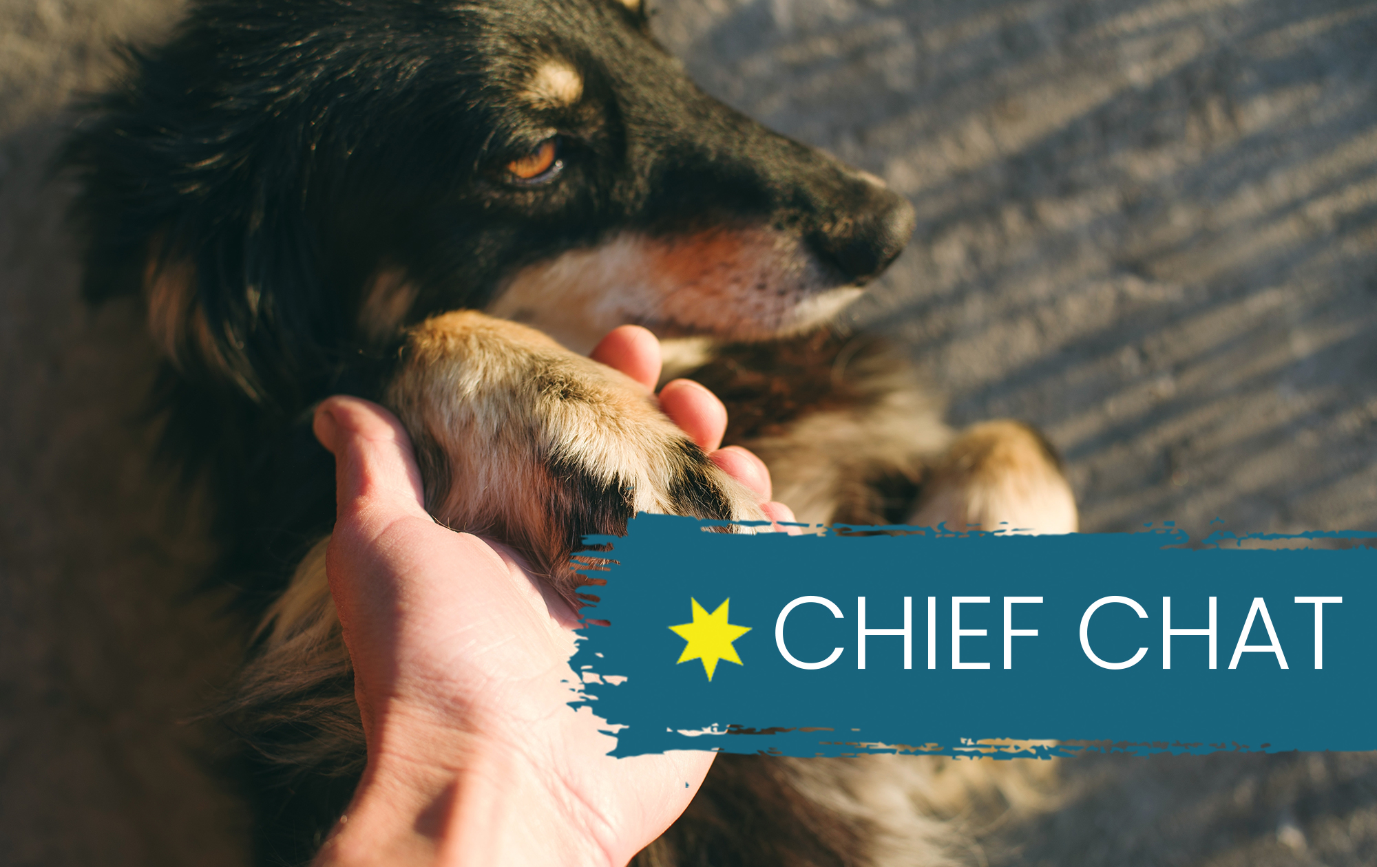 Caring for Our Communities by Caring for Our Animals